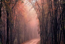 海星体育：快讯！英媒：曼联传奇球星博比·查尔顿去世，享年86岁环球网.