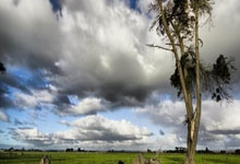 海星体育:雄狮两分钟进两球逆转缅甸 主帅小仓勉获首胜.