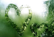 海星体育：27岁李梦有多迷人？亮相健身房身材太惊艳，不愧是中国女篮一姐.